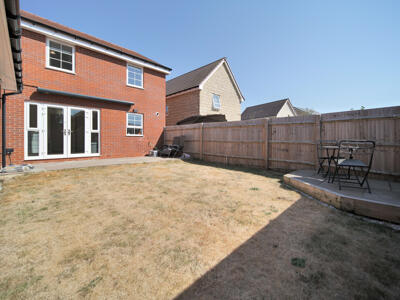 Picture 16